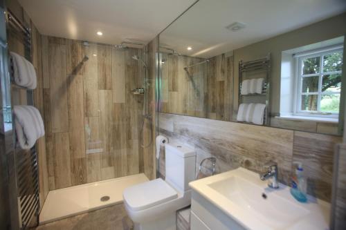a bathroom with a toilet and a shower and a sink at Charlton End - Goodwood Events in Chichester