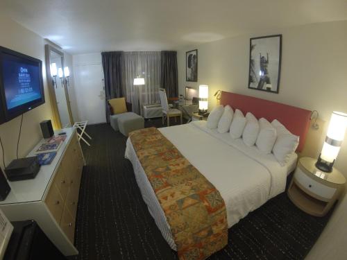 Habitación de hotel con cama grande y TV en Floridian Hotel en Homestead