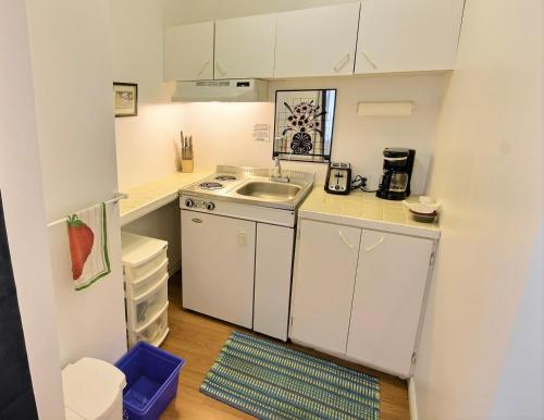 a small kitchen with a sink and a stove at Motel des Deux Lacs in Waterloo