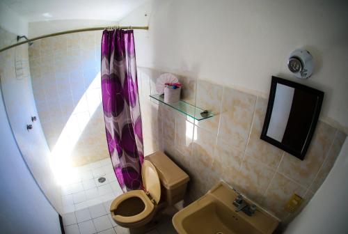 a bathroom with a shower and a toilet and a sink at Hotel Albatros in Puerto Escondido