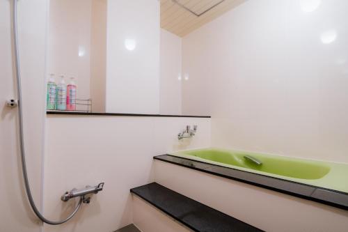 a bathroom with a green sink and a bath tub at Hotel Pagoda in Nara