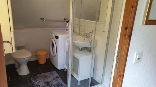 ein kleines Bad mit WC und Waschbecken in der Unterkunft Ferienhaus Nr. 40 im Ferienpark am Twistesee in Bad Arolsen