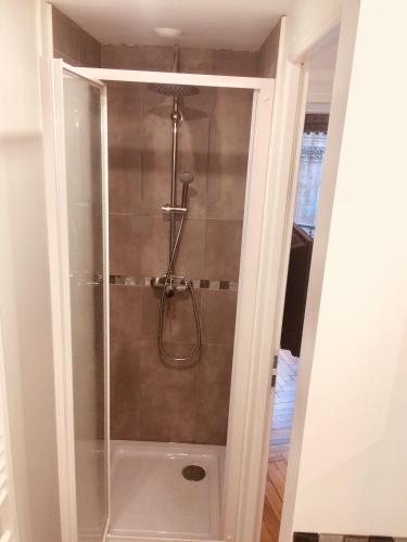 une douche avec une porte vitrée dans une salle de bain dans l'établissement D Centre ville de Lyon et visite à pied, à Lyon
