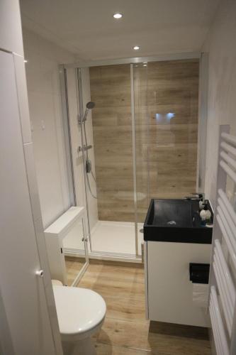 een badkamer met een douche, een toilet en een wastafel bij Ardennes Forest in Nassogne
