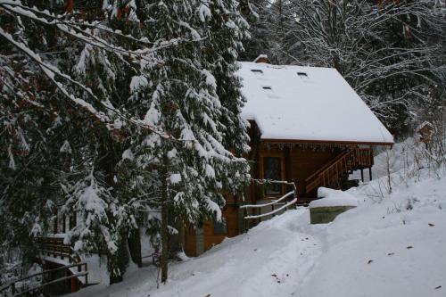 Gallery image of Hotel Ozero Vita in Nizhniy Studenyy
