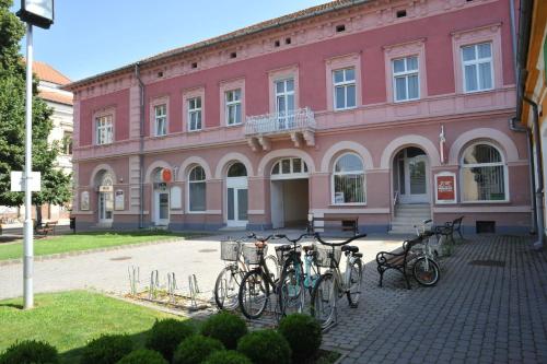 Jízda na kole v ubytování Piros Arany Panzió Kalocsa nebo okolí