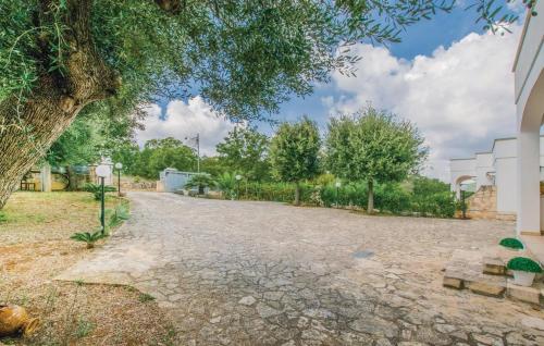 a stone driveway with trees and a building at Il Grande Ulivo in Selva di Fasano