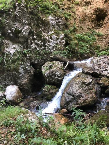 a stream of water with rocks on a mountain at Ferienwohnung Andritsch in Sankt Georgen im Gailtal