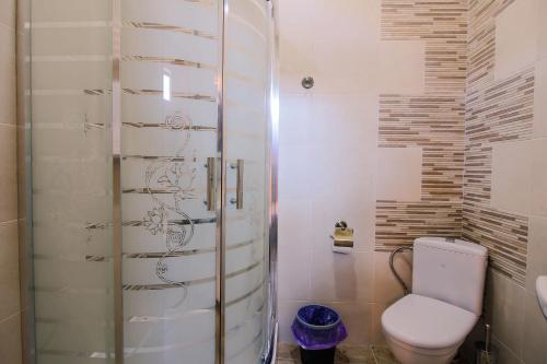 a bathroom with a toilet and a shower at Luca Lili in Sighnaghi