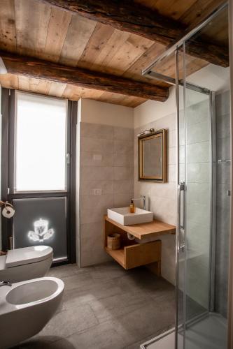 a bathroom with a sink and a toilet and a shower at foresteria stazzona in Villa di Tirano