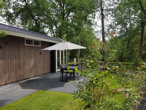 Spacious Chalet in Hoenderloo with Swimming Pool – Photos 2