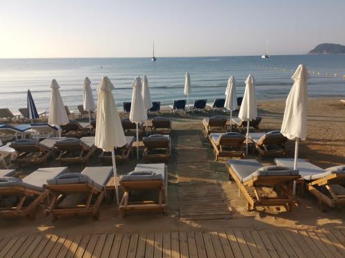 a bunch of lounge chairs and umbrellas on the beach at Casa Del Mar in Laganas