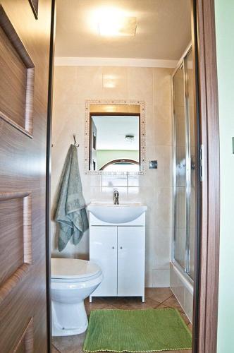 a bathroom with a sink and a toilet and a mirror at Willa ,, Krokus" in Ciche