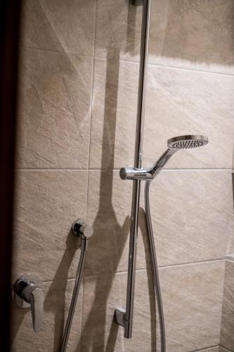 a shower stall with a glass door with a shower head at Innertrein in Cadipietra