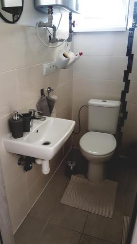 a bathroom with a toilet and a sink at Chatka na Hranici Čirč in Čirč