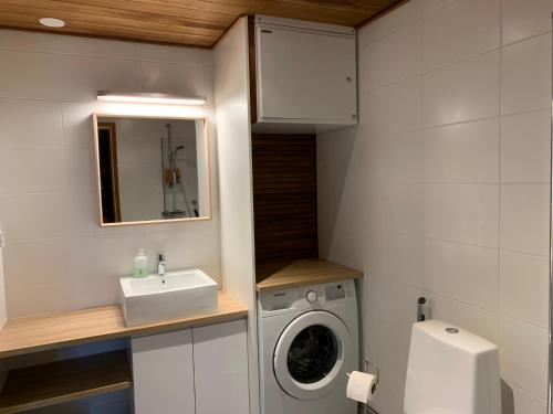 een badkamer met een wasmachine en een wastafel bij Villa LumiHelmi A & B in Äkäslompolo