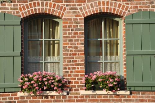 Gîte des Hortillonnages – Photos 3
