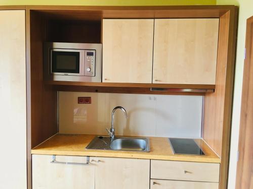 美國魯穆尼卡的住宿－Apartman I104 Velka Lomnica Golf Resort，厨房配有水槽和微波炉