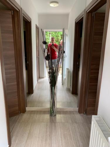 a vase filled with flowers in a hallway at Enter Rooms in Zagreb