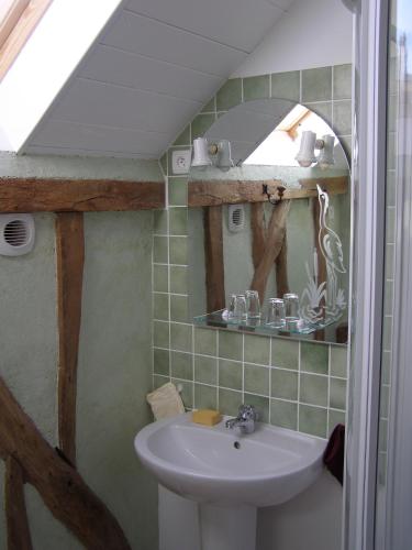 une salle de bain avec un lavabo et un miroir dans l'établissement Gîte des Hortillonnages, à Camon