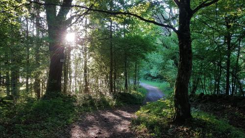 Afbeelding uit fotogalerij van NatureZenKota in Mittlach