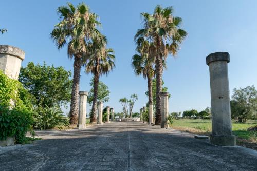 Φωτογραφία από το άλμπουμ του Masseria Mazzetta Salento Corte del Falconiere B&B σε San Pancrazio Salentino