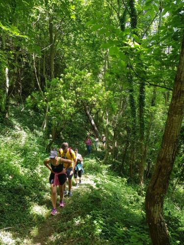 a group of people walking on a trail in the woods at Melina's House in Tramonti