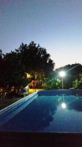 a person standing next to a swimming pool at night at Alexandra Homestay in Kalavárda