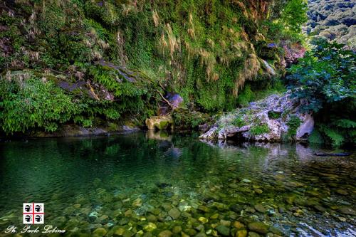 a river with rocks in the middle of a forest at S'orrosa casa vacanze bifamiliare in montagna panorama stupendo Sardegna in Seùlo
