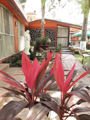 a plant with red flowers in front of a building at Villa Paraiso in Emiliano Zapata