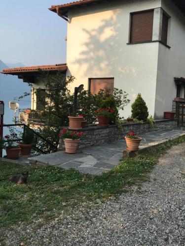 a house with potted plants in front of it at Milly Lake in Claino