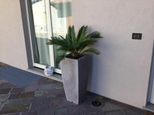 a plant in a vase sitting next to a window at B&B CORTE SANT'ANGELO in Passirano