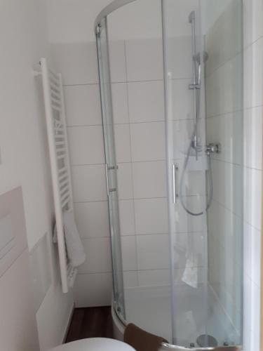 a bathroom with a glass shower with a toilet at City Pension Zwickau in Zwickau