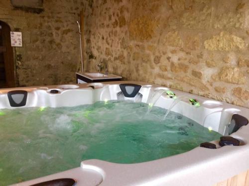 a bath tub filled with green water in a room at Manoir - Gîte avec Spa pour 10 p. in Langeais