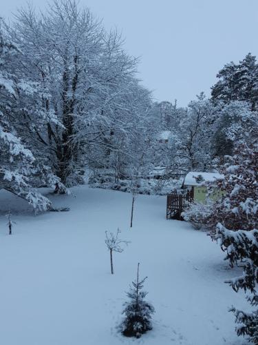 a snow covered yard with trees and a house at Le Domi in Dury