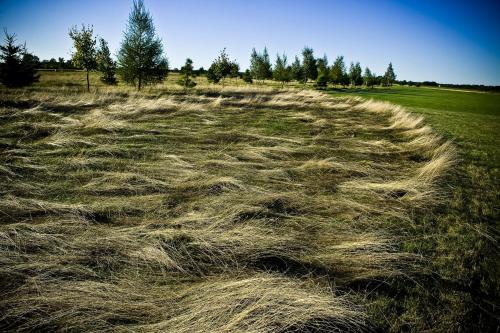 a large pile of dry grass in a field at Golf Hotel Lisia Polana in Pomocnia