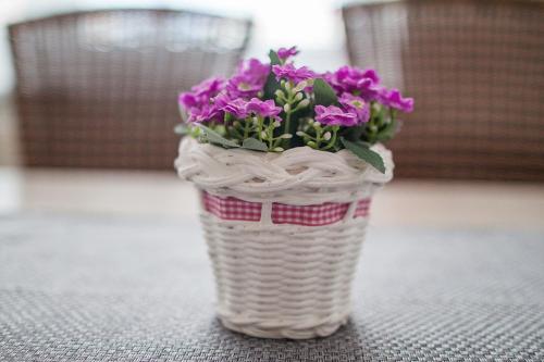 a vase filled with purple flowers sitting on a table at Bílé domky in Lednice