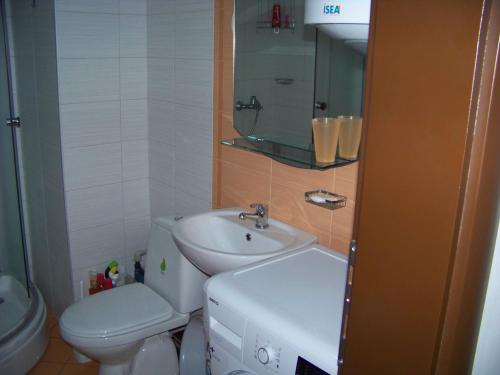 La salle de bains est pourvue d'un lavabo, de toilettes et d'un miroir. dans l'établissement Tedi & Kiki Apartment, à Ohrid