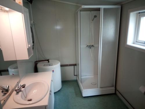 a bathroom with a shower and a sink and a toilet at Stenvåg Camping in Eidsdal