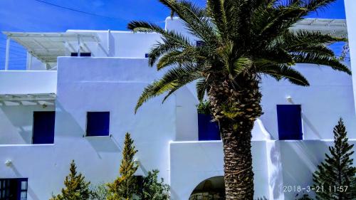 a palm tree in front of a white building at Nicos Studios & Apartments in Logaras