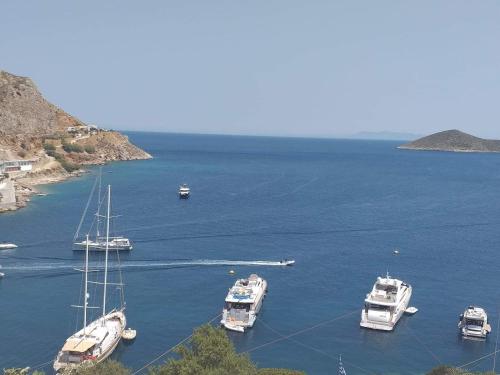 a group of boats in a large body of water at Aegean Blue in Panteli