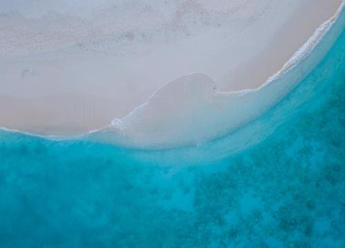 a stingray swimming in the ocean near a beach at Olhumathi View Inn in Ukulhas