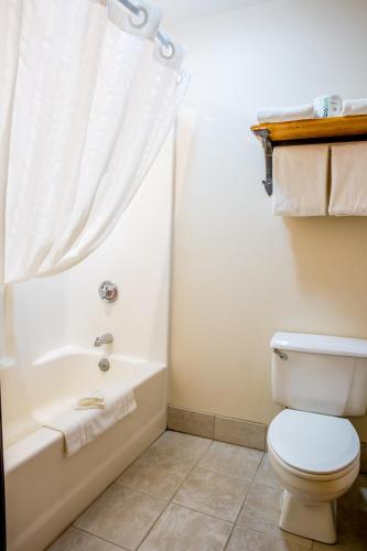 a bathroom with a toilet and a bath tub at Lodge at Palmer Gulch in Hill City