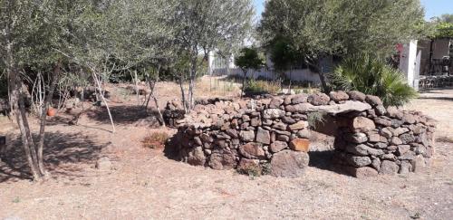 una pared de piedra en un campo junto a los árboles en Su Pinnetu, en Orosei