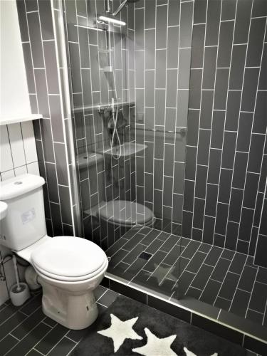a bathroom with a toilet and a shower with stars on the floor at Panorama Vista Gudauri Apartments in Gudauri