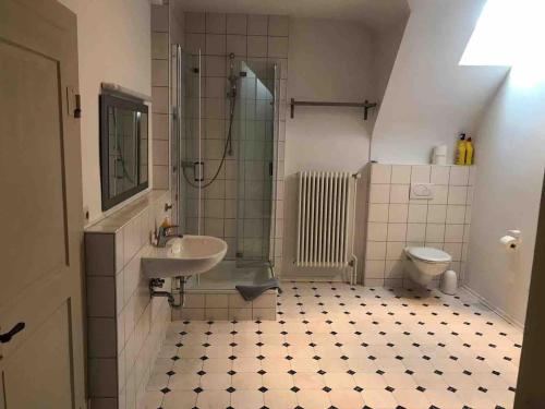 a bathroom with a sink and a shower and a toilet at Wein Lodge Durbach - Gruppenhaus Weingut Neveu in Durbach