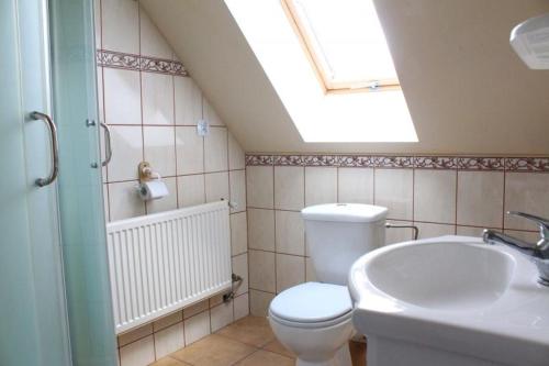 a bathroom with a toilet and a sink and a skylight at Agroturystyka Zielona Polana in Wąglikowice