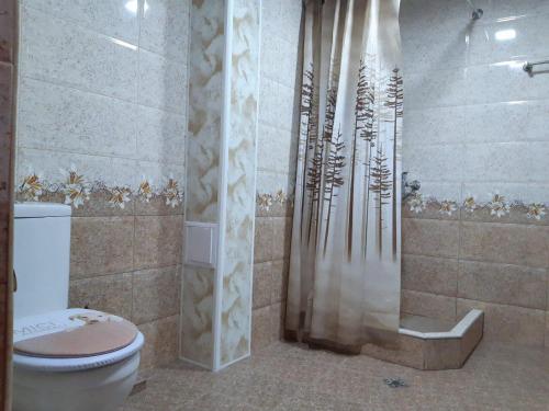 La salle de bains est pourvue d'une douche et de toilettes. dans l'établissement SPARTA Apartment Complex, à Sevan