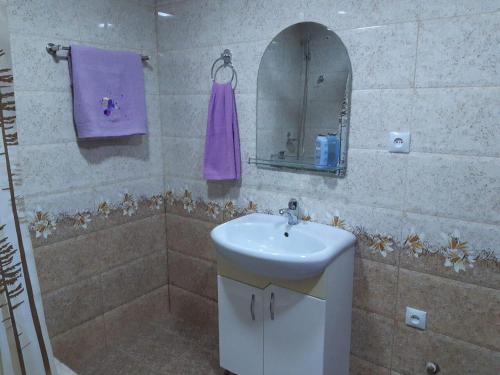 a bathroom with a sink and a mirror at SPARTA Apartment Complex in Sevan