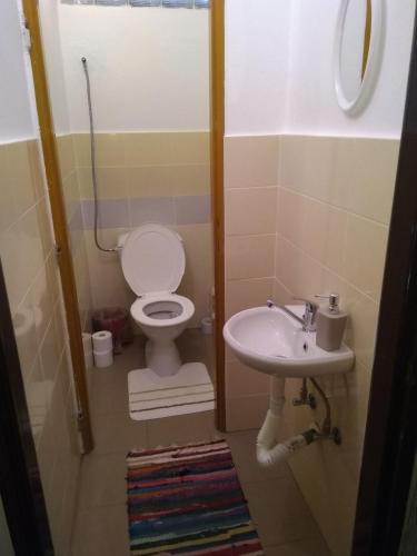 a bathroom with a toilet and a sink at Tatry Liptov in Jakubovany